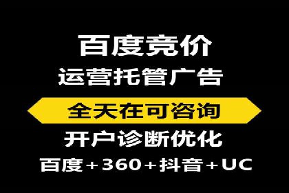 SEM竞价实战：成功案例解析
